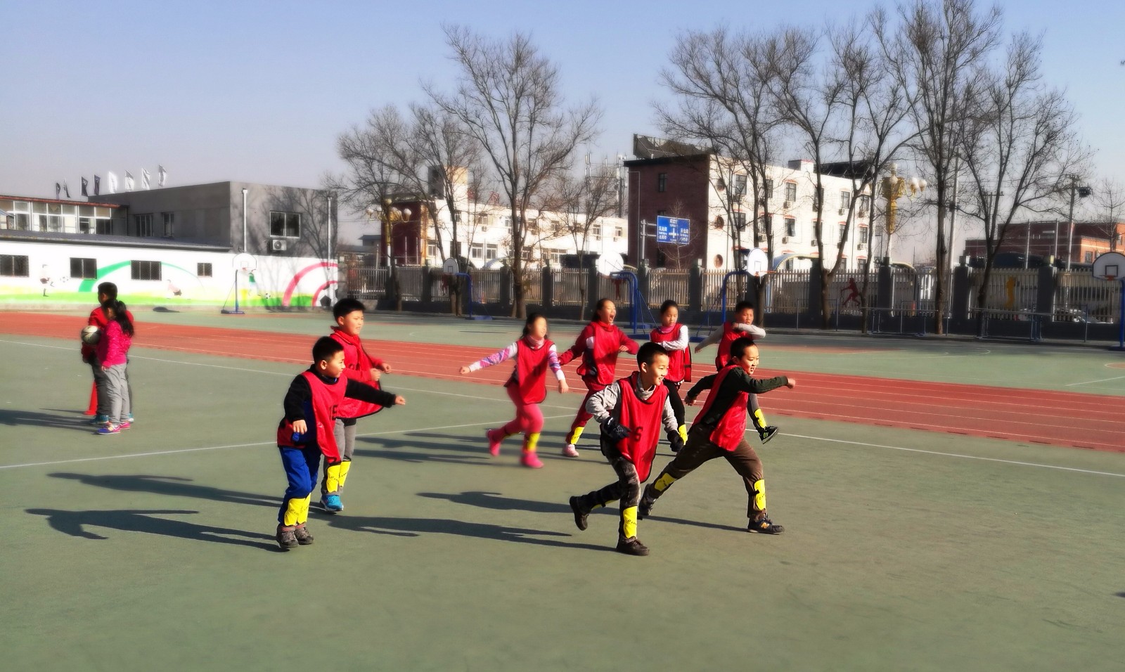 IMG_20161206_111621.jpg